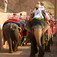 Visite du Fort avec montée à dos d'éléphant